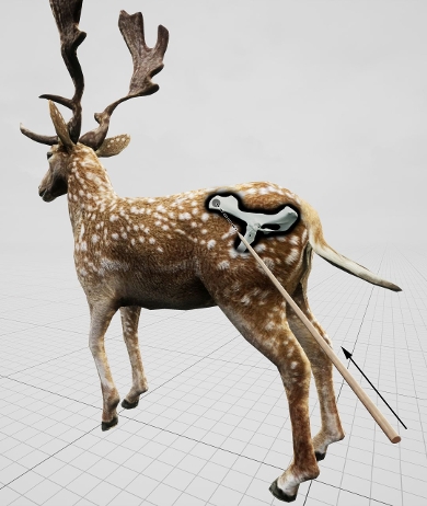 Simulation of the way Neanderthals killed the deer with their spear.