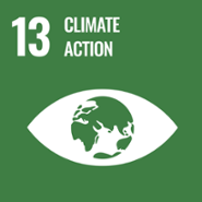 Icon for the SDG 