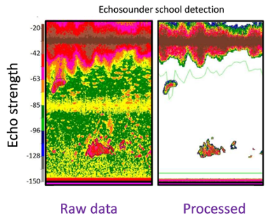 Pelagic fish schools in the North Sea detected and visualized through images from a bottom-mounted echosounder.