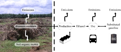 Biomass residues decomposed on fields or removed and converted into bioenergy
