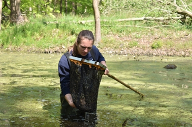 Biology student Jody Robbemont with wading suit and landing net, is looking for alpine newts.