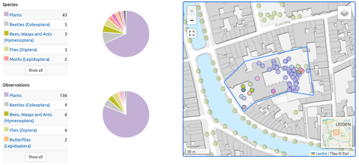 Screenshot of a map from waarneming.nl showing the locations of different species found and their numbers.