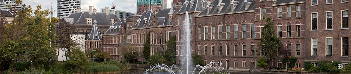 leiden university dual phd centre