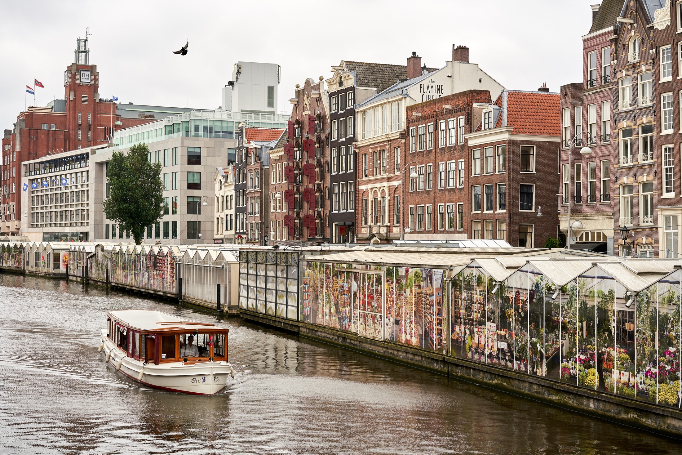 Flower stalls on Bloemenmarkt canal in Amsterdam