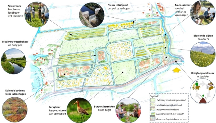 Figure: This figure shows the potential layout of the 5 agricultural methods that are studied in the Vrouwe Vennepolder.