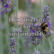 (Bio)diversity for sustainability