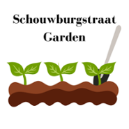 Schouwburgstraat Community Garden