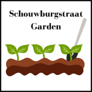 Schouwburgstraat Tuin