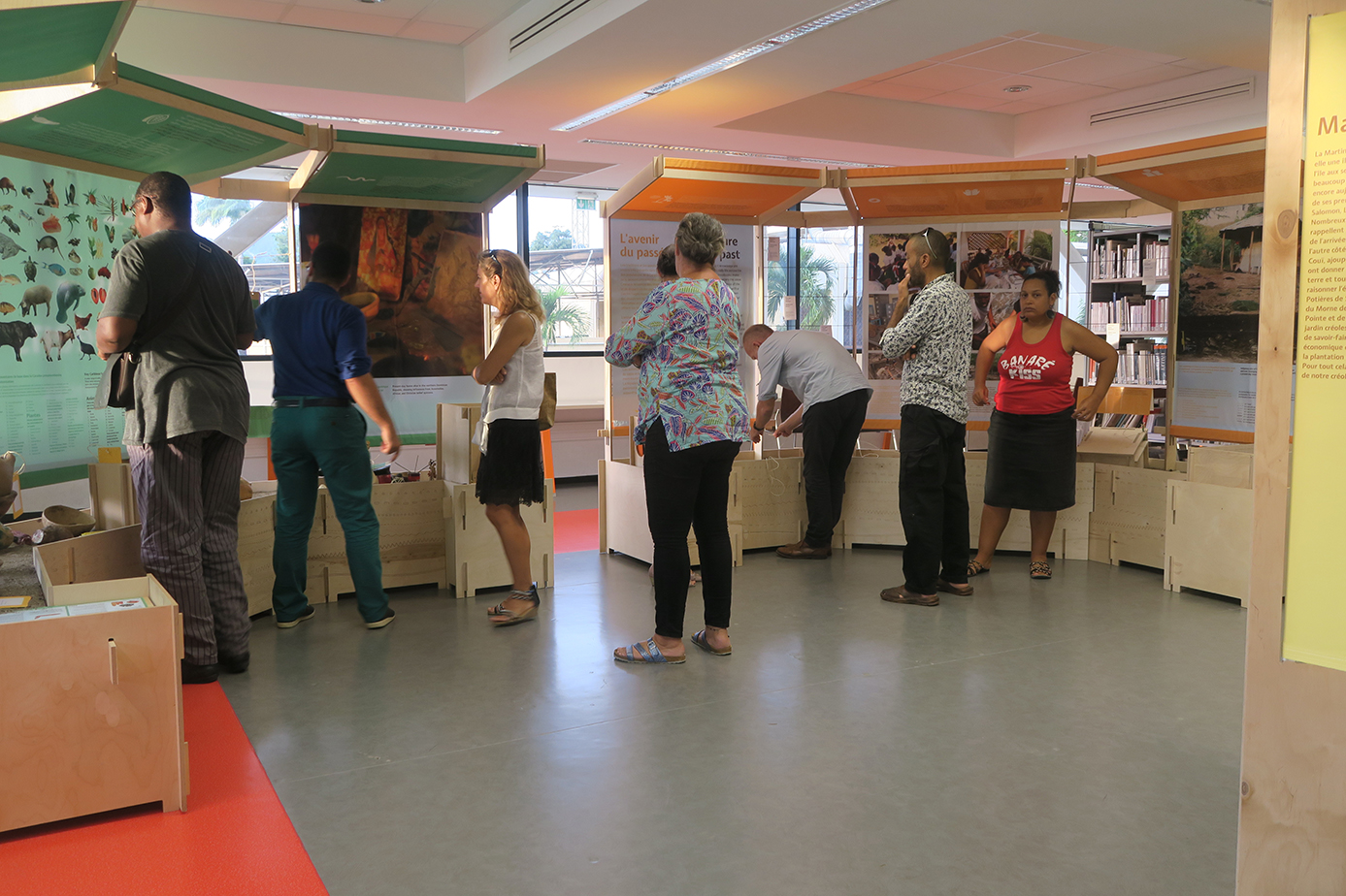 Liens Caribéens in Martinique Leiden University