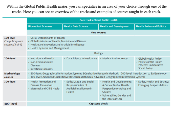 Core tracks of the Global Public Health Major