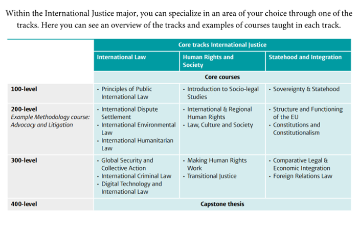Core tracks of the International Justice major