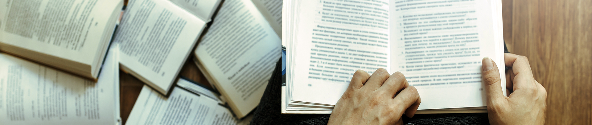 theory of literature unive