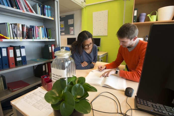 Tutoring at Leiden University