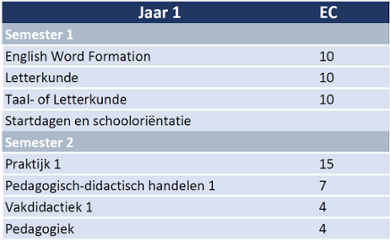 Visuele weergave van het curriculum van jaar 1