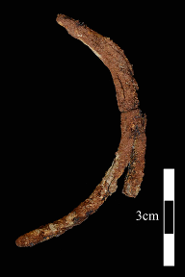 Het ijzeren deel van een paardenbit, dat bij het paard werd gevonden. Het is een van de oudste stukken ijzer ooit in Afrika gevonden.