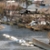 Urban flooding in New Orleans (2005) caused by Hurricanes Katrina-Rita and a legacy of improper land use.