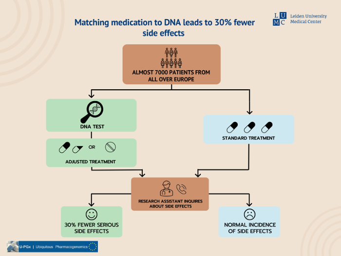 Infographic of the research 