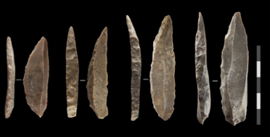 Stenen messen die vermoedelijk door de laatste neanderthalers in Frankrijk en Noord-Spanje zijn vervaardigd. Deze specifieke en gestandaardiseerde technologie was nog niet eerder aangetroffen bij eerdere vondsten.
