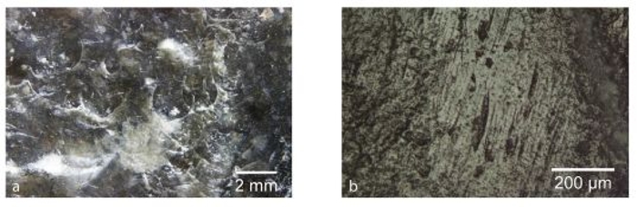 Microscopische opnames van de vuistbijlen: links de C-vormige putjes, rechts de krassen in de lengterichting van de vuistbijl.