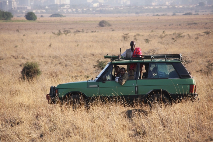 As Head of Security, Lesilau patrols Nairobi National Park almost every day. By chance, he often witnesses interesting incidents. He has twice seen a lioness pull a tranquiliser dart out of her rear paw.