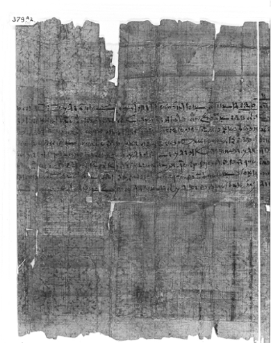 Een papyrus met het erfenisdocument van een dodenpriester. De nauwkeurige omschrijving van alle tombes vertelt eigenlijk hoe Sakkara eruit zag in 256 v.Chr.