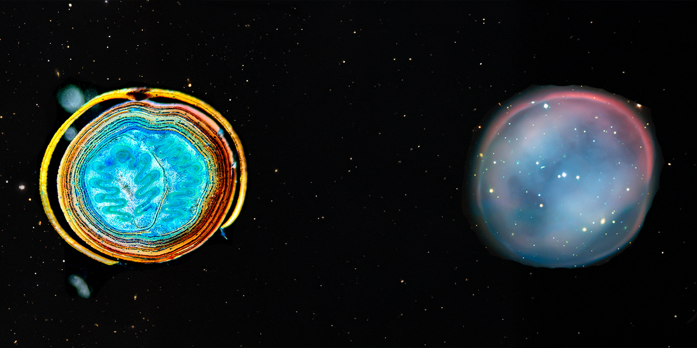 Plants and planets - Leiden University