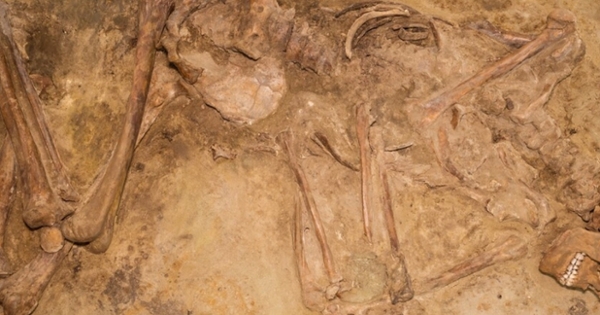 DNA-studie onthult opmerkelijke stabiliteit prehistorische bevolking Lage Landen