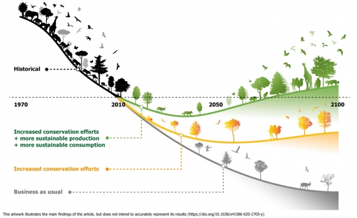 Grafiek die de afname van de biodversiteit sinds 1970 en diverse prognoses voor de toekomst weergeeft.
