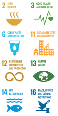 Iconen voor Duurzame Ontwikkelingsdoelen 2, 3, 6, 11, 12, 13, 14 en 16 van de VN