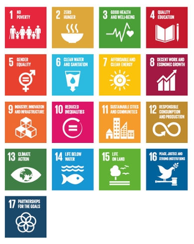 Iconen van de 17 Sustainable Development Goals van de Verenigde Naties