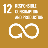 Icon for the SDG 