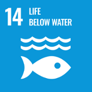 Icon for the SDG 