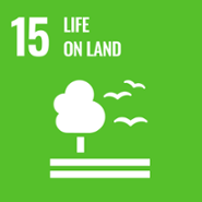 Icon for the SDG 