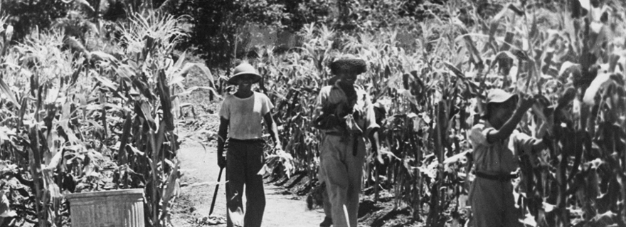 Perlawanan Indonesia dalam Perang Dunia II: Seperti Apa Itu