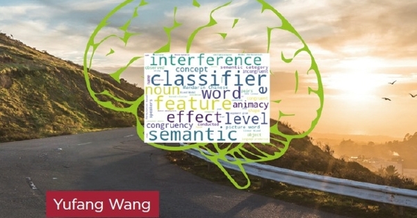 The lexico-semantic representation of words in the mental lexicon ...