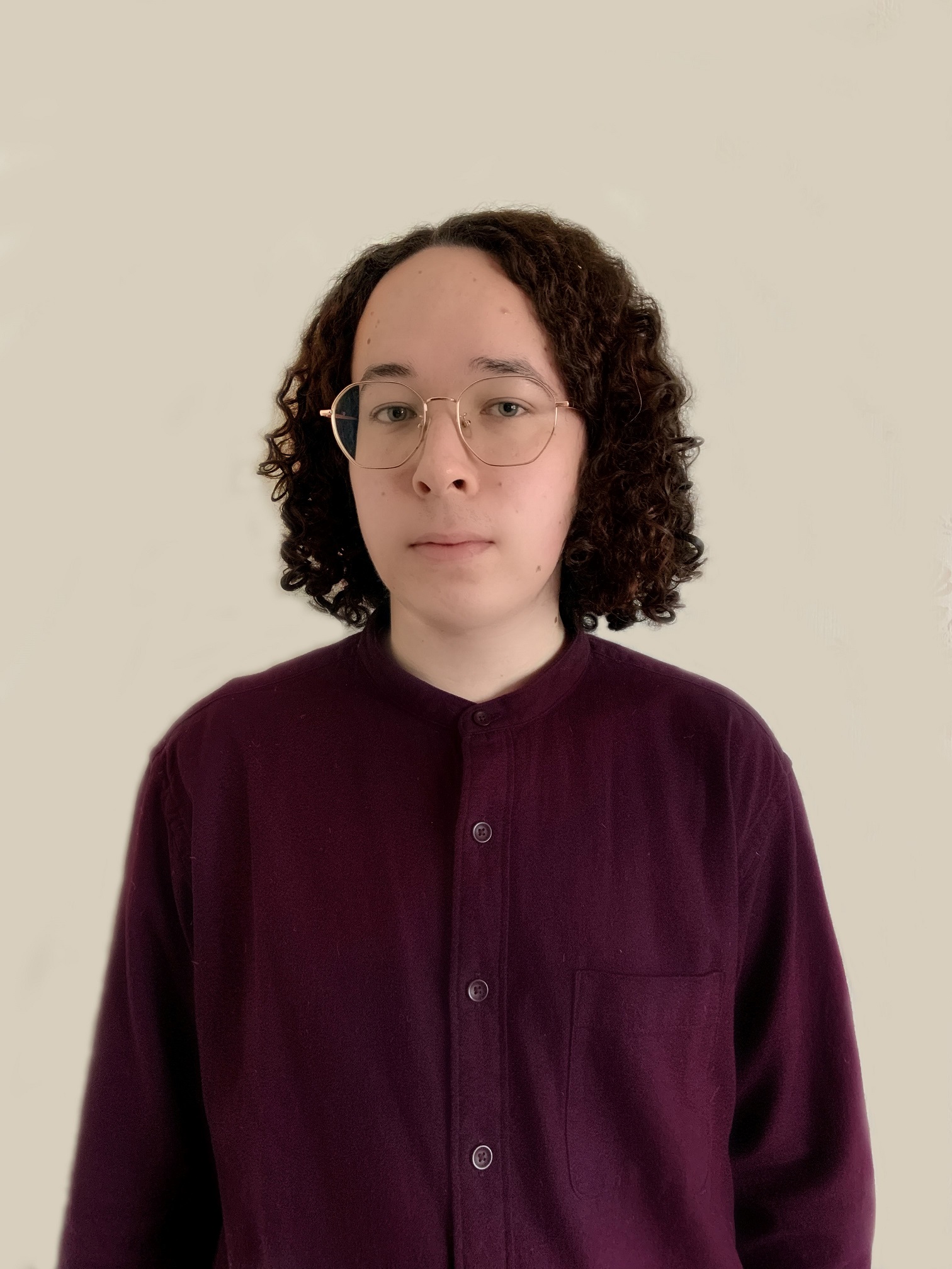 Dmitrii Shchetinin - Leiden University