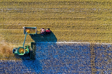 Landbouw is niet bevorderlijk voor de biodiversiteit.