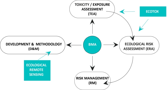 BMA-Framework