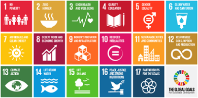 All the 17 images and names of the sustainable development goals of the United Nations