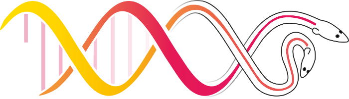 Dna sequence eel logo