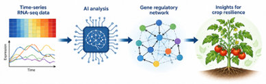 Gene regulatory network analysis