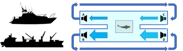 MIGRADROME swim tunnel set-up in which responsiveness to boat and vessel sounds will be tested on various fish species.