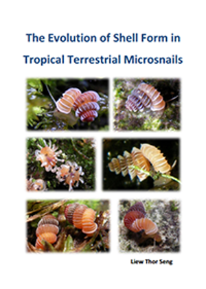 The evolution of shell form in tropical terrestrial microsnails - Leiden  University