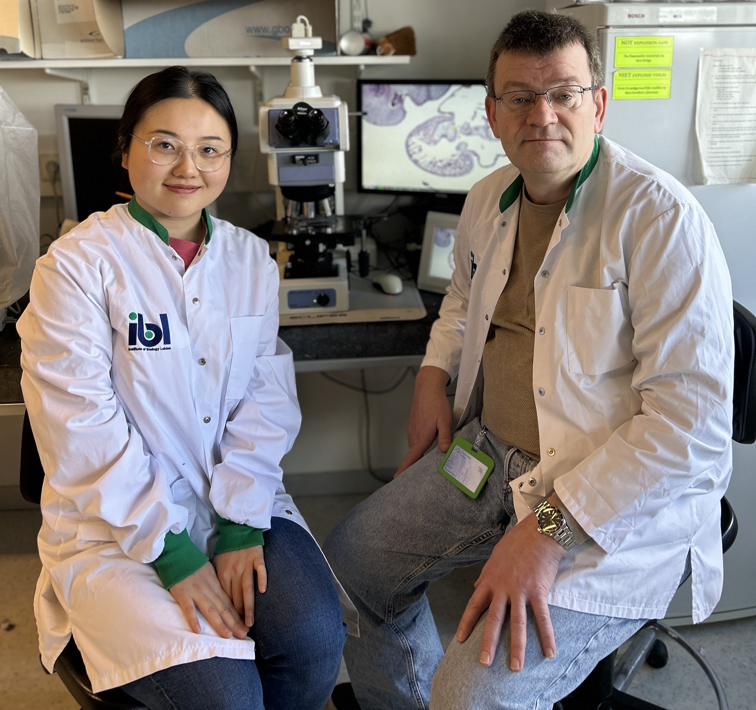 Malformations in heart, eyes and nervous system Nanoplastics disrupt