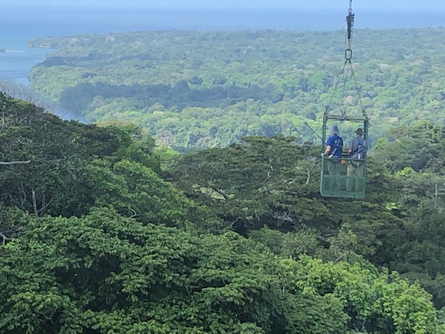 Marco Visser and Joe Wright (Smithsonian Institution) in a canopy crane. That is a tower crane that allows scientists to take measurements in pristine forests with minimal disturbance.