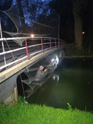 Twee vrijwilligers plaatsen in de nacht een fijnmazig mistnet onder een brug, boven het water, om vleermuizen te vangen.