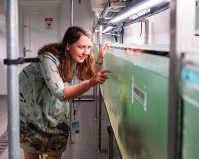 Fish caretaker Chloe Kenney shows off the stickelbacks at the fish facility of Leiden University
