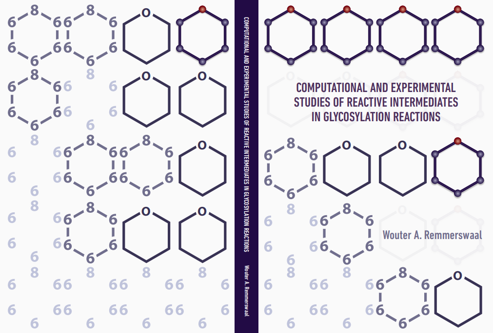 Computational and experimental studies of reactive intermediates in ...