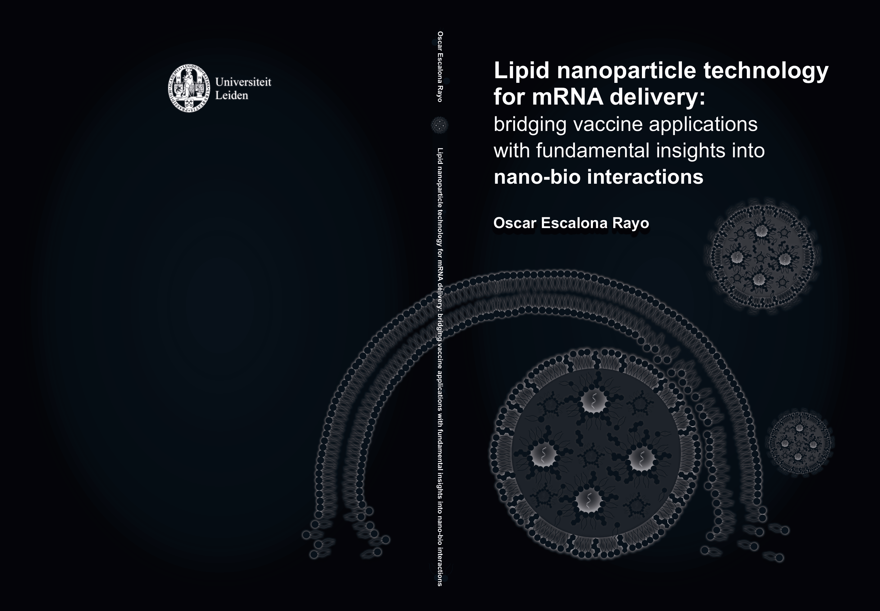 Lipid nanoparticle technology for mRNA delivery: Bridging vaccine applications with fundamental insi