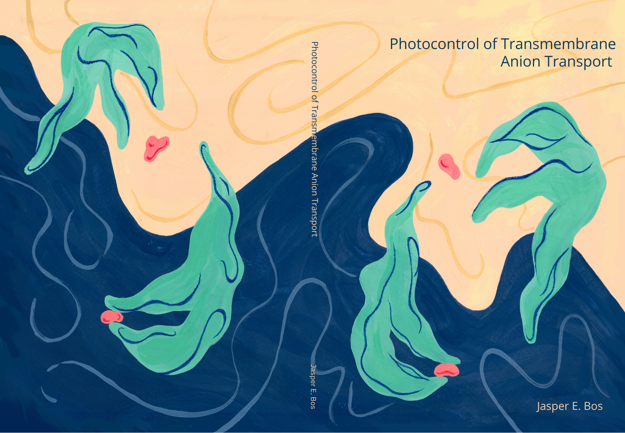 Photocontrol of Transmembrane Anion Transport